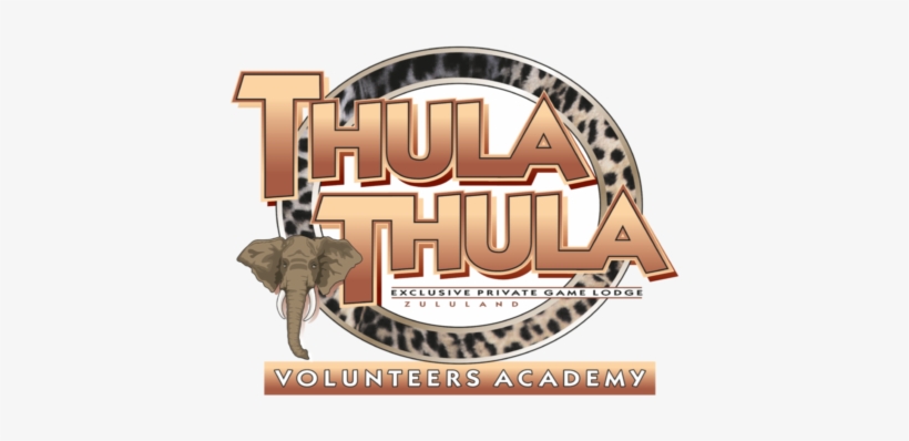 Volunteering For Conservation - Thula Thula, transparent png