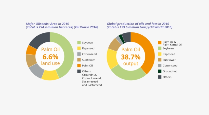 10 Major Oilseeds - Global Palm Oil Production 2016, transparent png