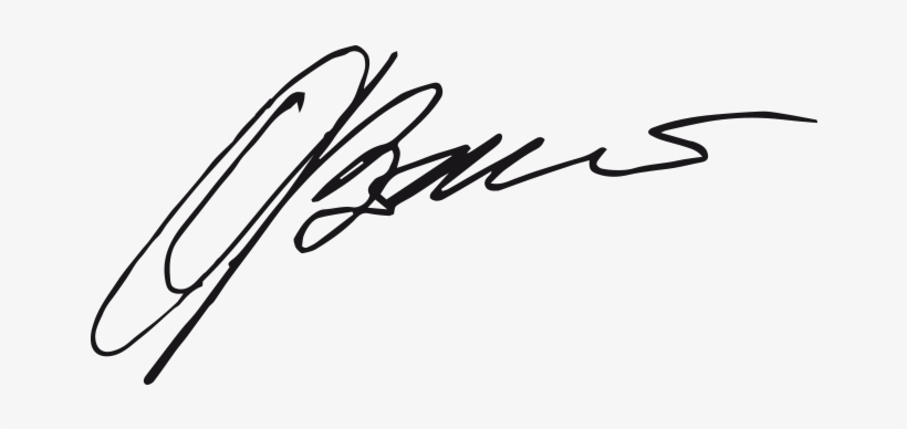 Ragim Chairman Bruno Agnola - Firma Bruno Png, transparent png