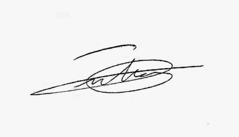 Sketch, transparent png