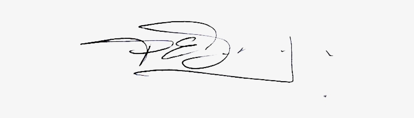 Original Patricio Firma - Line Art, transparent png