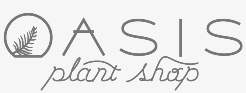 Oasis - Digital Watchdog, Inc., transparent png