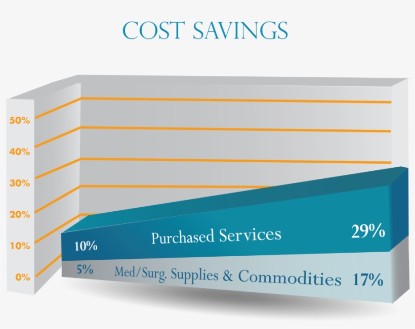 Here At Vie, Our Leading Healthcare Consultants Help - Operating Cost In Healthcare, transparent png