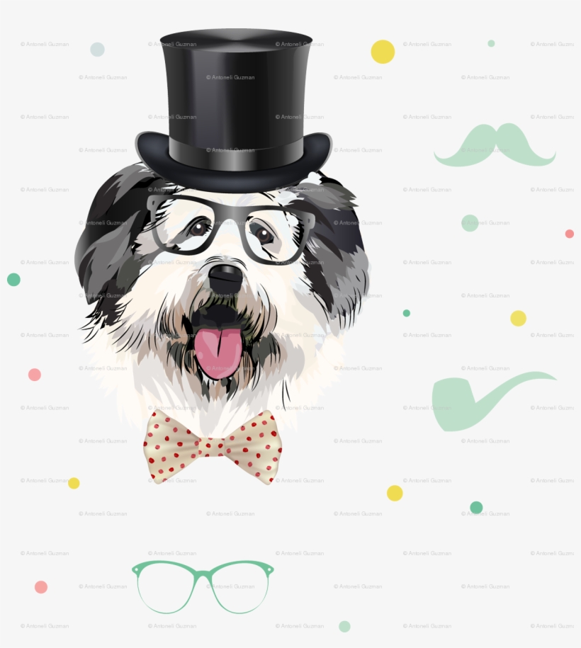 Shih Tzu, transparent png