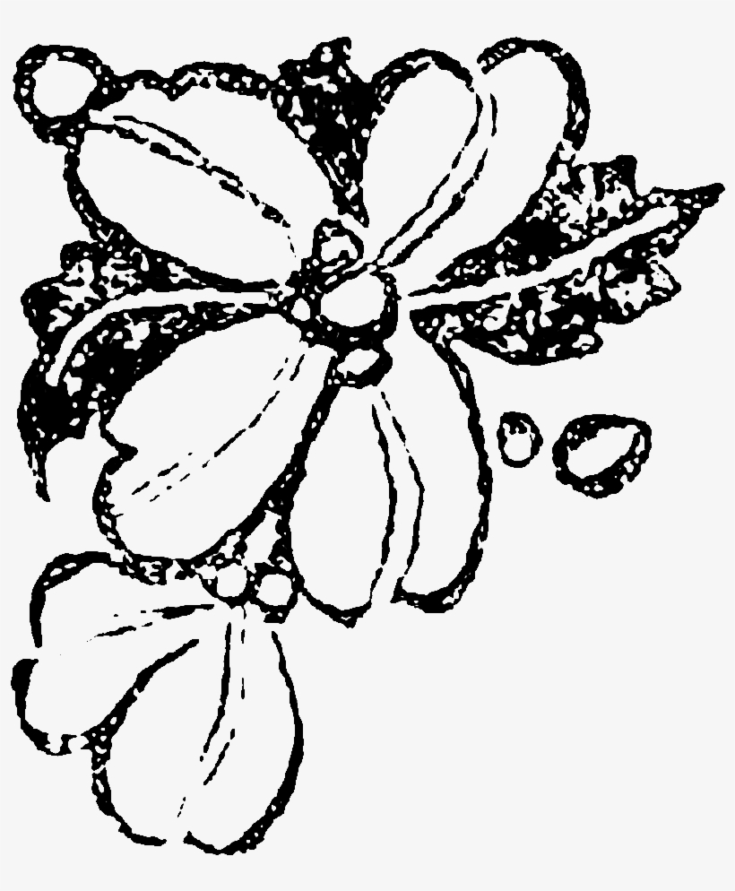 These Digital Flower Illustrations Can Be Used To Create - Illustration, transparent png