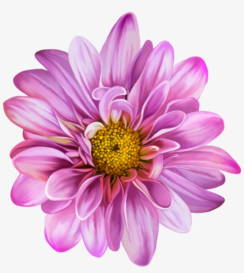 Vector Flowers, Art Flowers, Spring Flowers, Flower - Lisa Flower, transparent png
