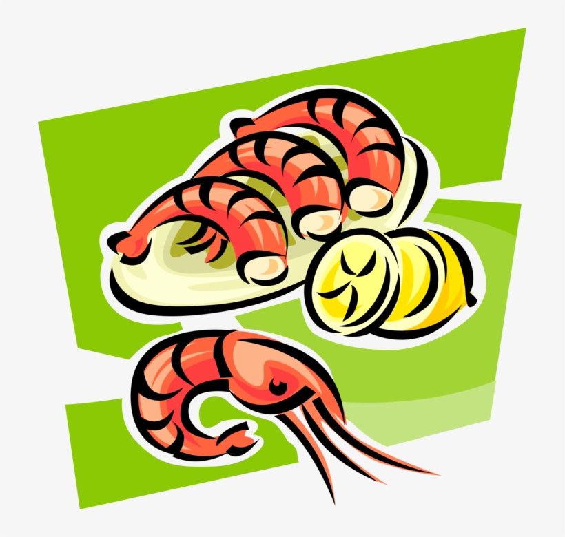 Vector Illustration Of Decapod Marine Crustacean Prawn, transparent png