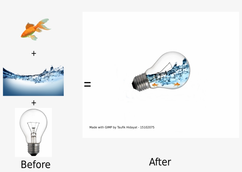 Png Download - Lightbulb Press, Inc., transparent png