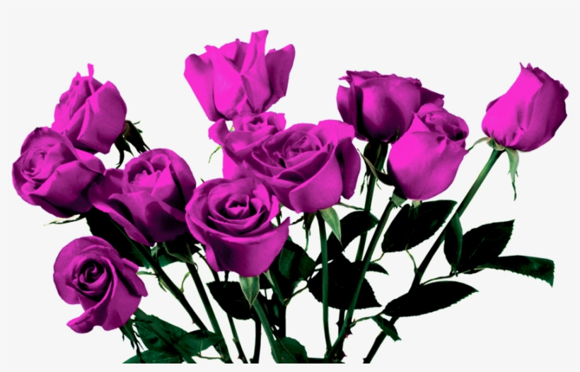 I M Not Something To Butter Up, transparent png