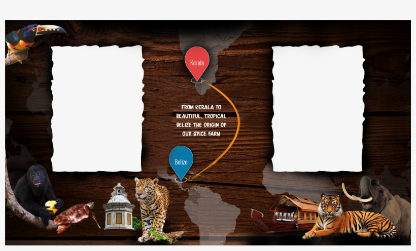 Background New - Point Defiance Zoo & Aquarium, transparent png