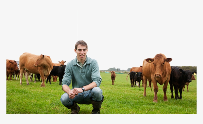 British Farmers, transparent png