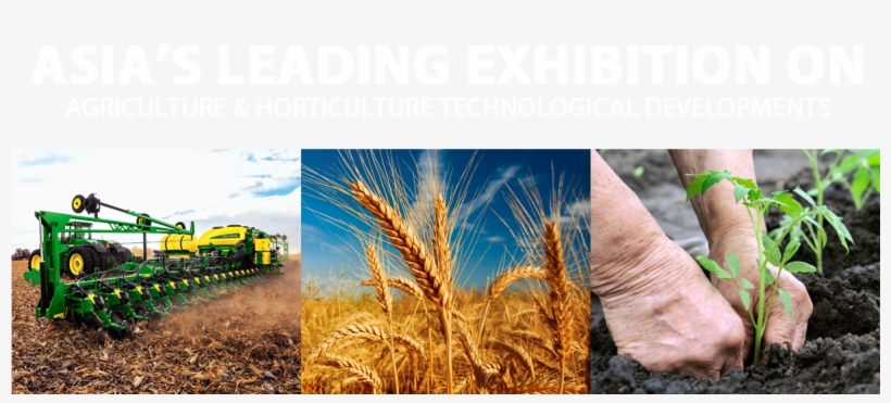 Agri & Horti Asia - Ultimate Guide To Old-fashioned Country Skills, transparent png