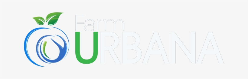 Farm Urbana - Dolce And Gabbana, transparent png