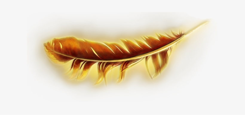 Wish Upon A Feather - Transparent Golden Feather Png, transparent png