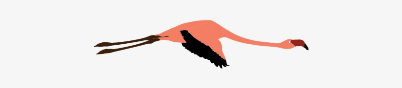 Flying Cute Borders Vectors Animated Black And - Crane, transparent png