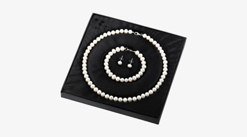 Tiffany & Co., transparent png