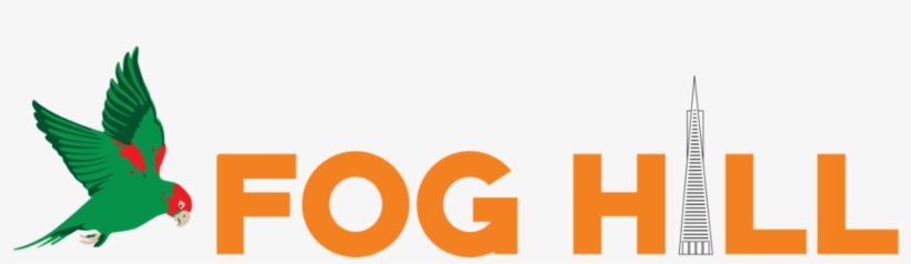 Fog Hill Png - Hummingbird, transparent png