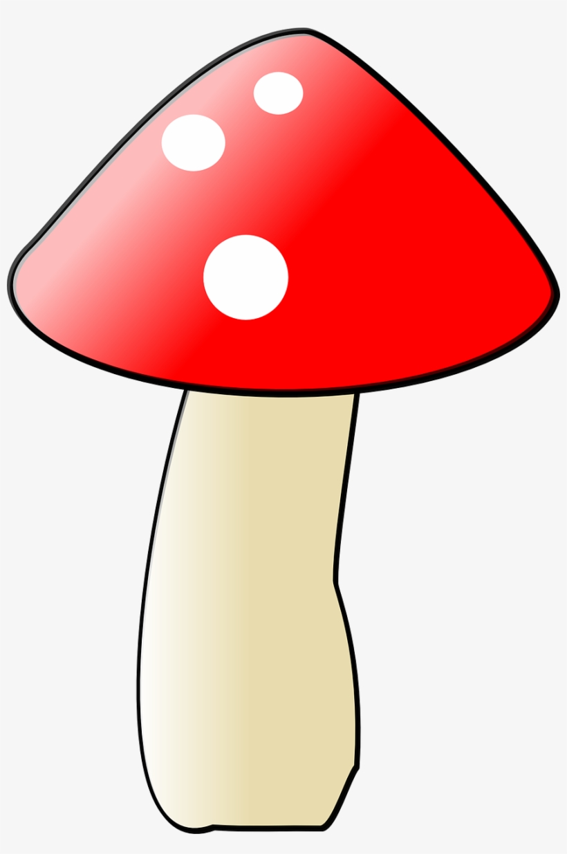 Mushroom Png Images, transparent png