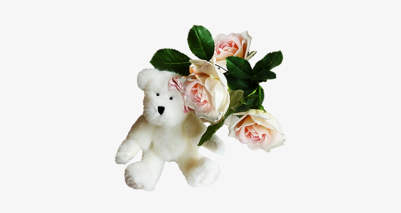 White Teddy Bear With Rose - Alles Gute Zum Geburtstagkarte Teddybär Und Rosa Postkarte, transparent png