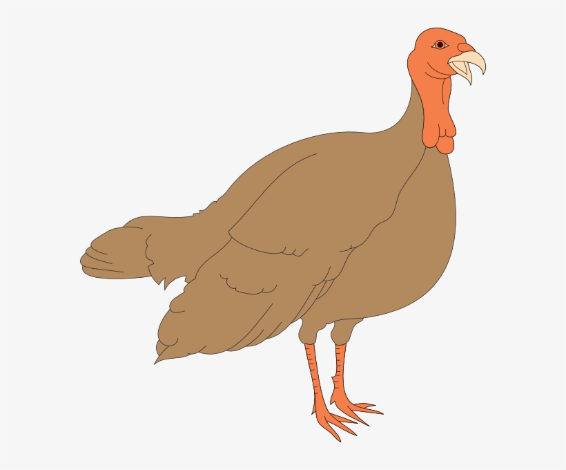 Turkey Svg Clip Arts 588 X 600 Px, transparent png