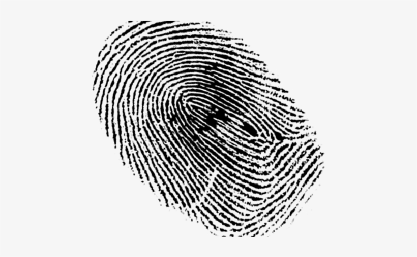 The 311 On Food Stamps - Fingerprint Black And White, transparent png
