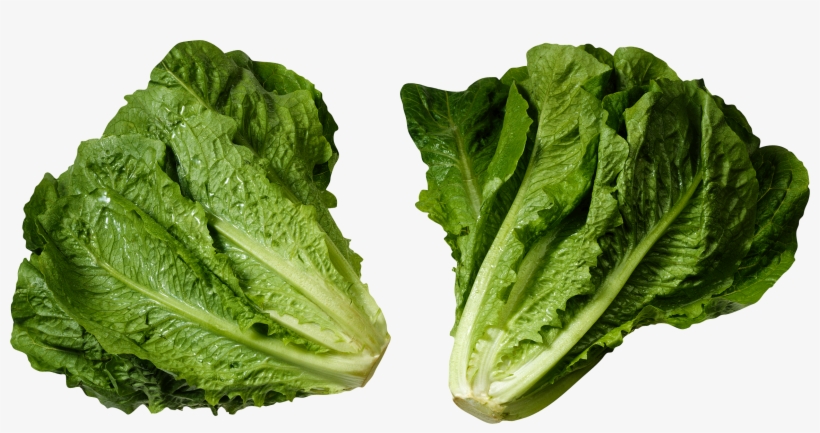 Loose Leaf Romaine Lettuce, transparent png