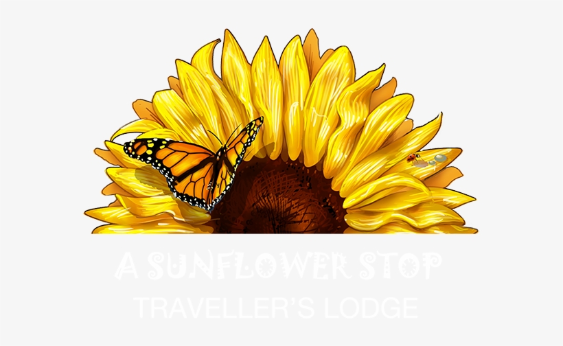Cape Town Backpackers Hostel - Transparent Half Sunflower, transparent png