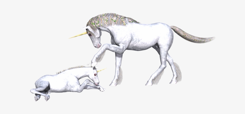 So When She Saw The Unicorn At The Bottom Of Her Garden, - Fairy Tale, transparent png
