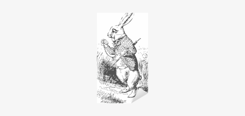 White Rabbit With Watch Alice Wonderland Sticker • - Alice In Wonderland Original White Rabbit, transparent png