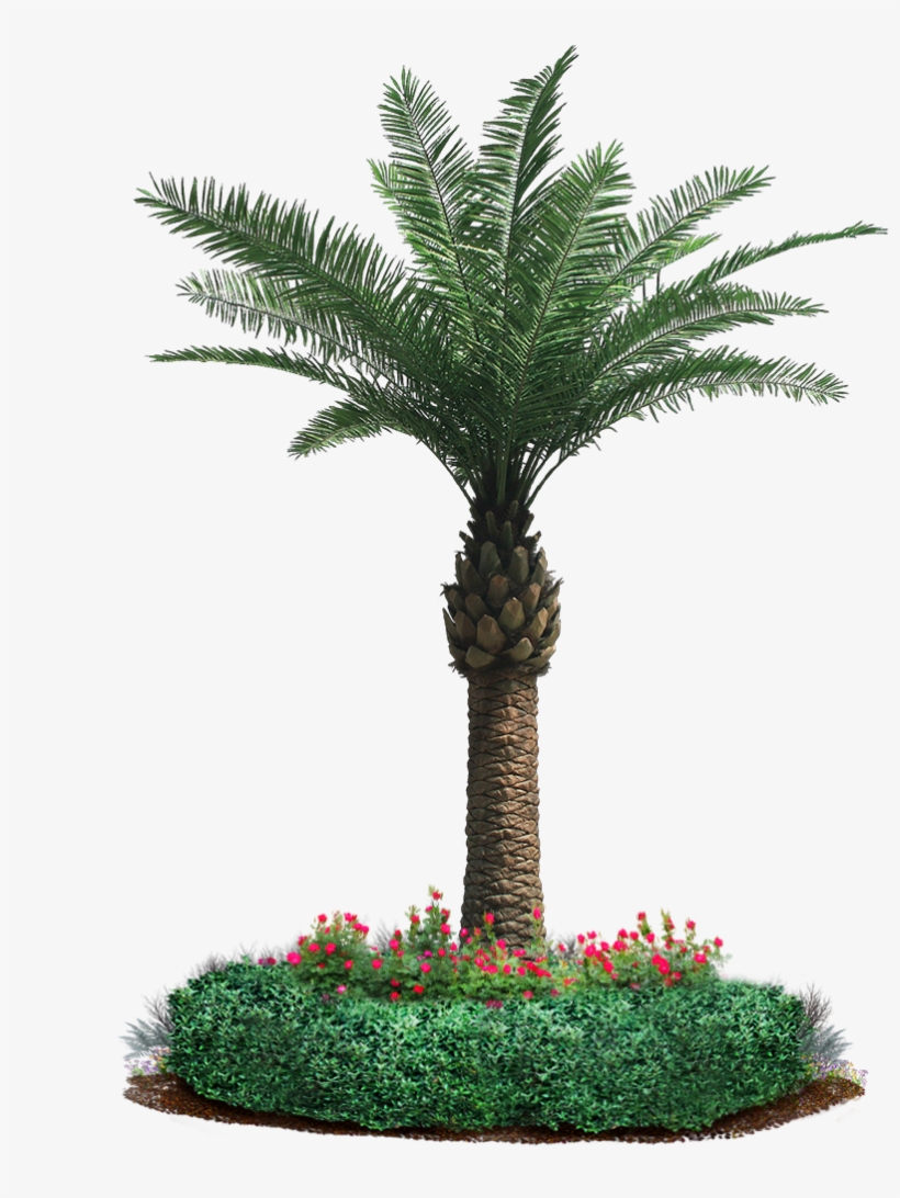 Our Motto Is “leaf It To Us” And It Holds The Company's - Trees In Garden Png, transparent png
