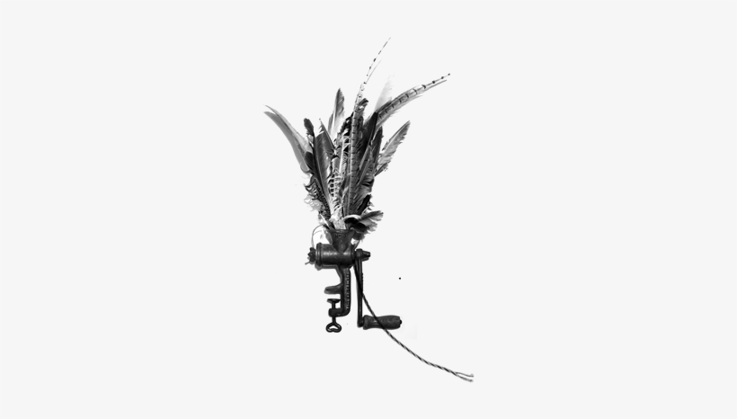 Feathers - Monochrome, transparent png