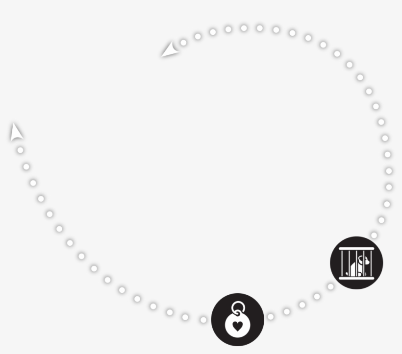 Bizbark For Shelters Supports Successful Adoptions - Circle, transparent png