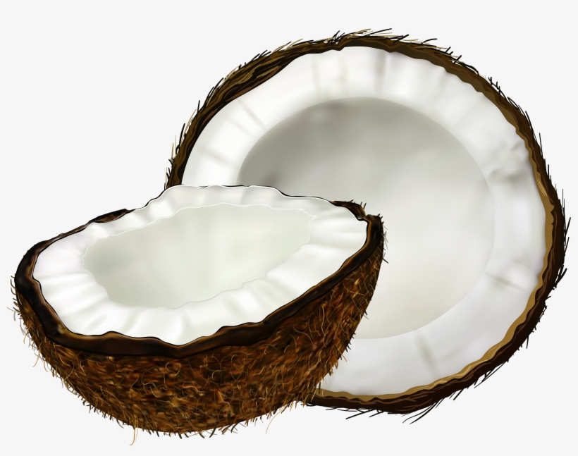 Coconut Png, transparent png