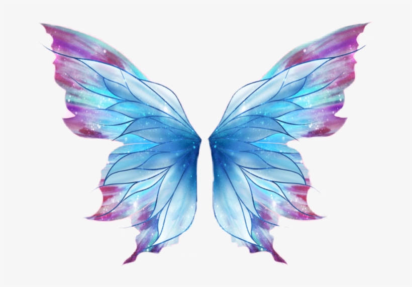 Report Abuse - Butterfly Wings Png, transparent png