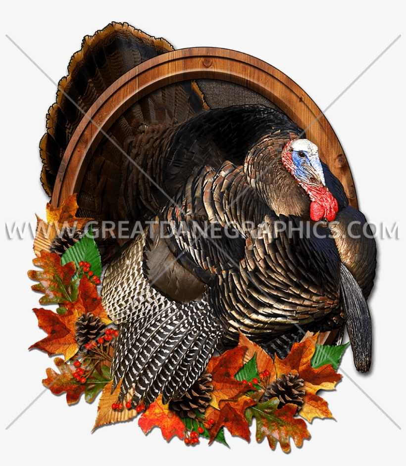 Mister Thankful Thanksgiving Turkey Baseball Sleeve, transparent png