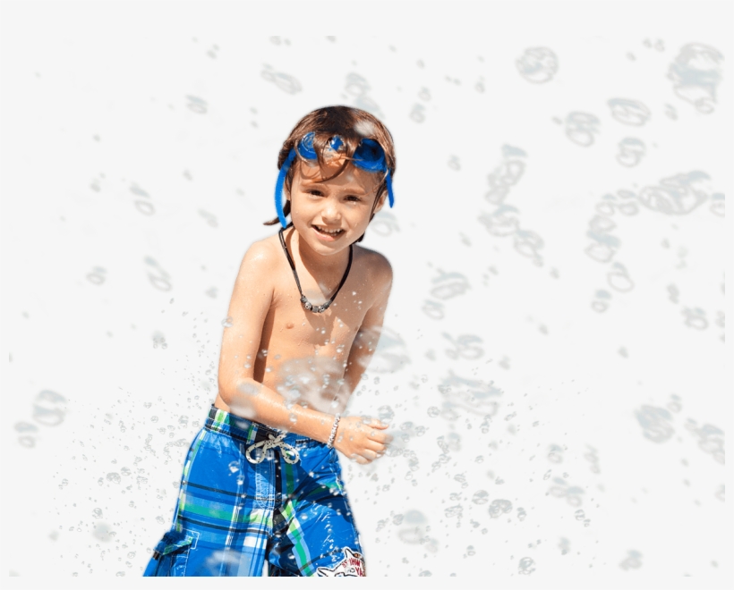 O Verão Está Chegando, transparent png