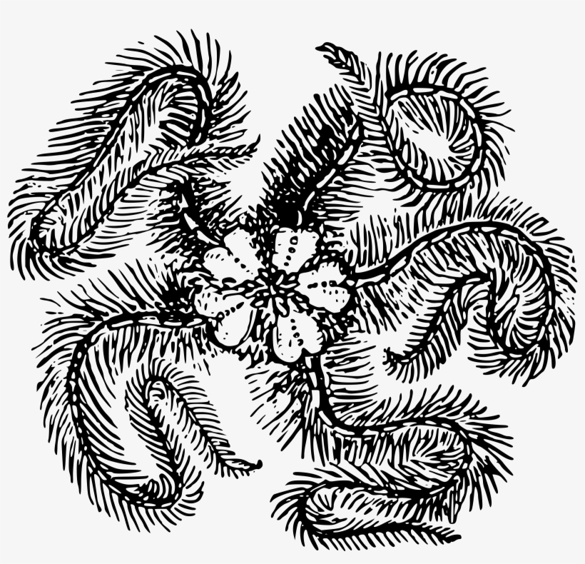 This Free Icons Png Design Of Feather Starfish, transparent png