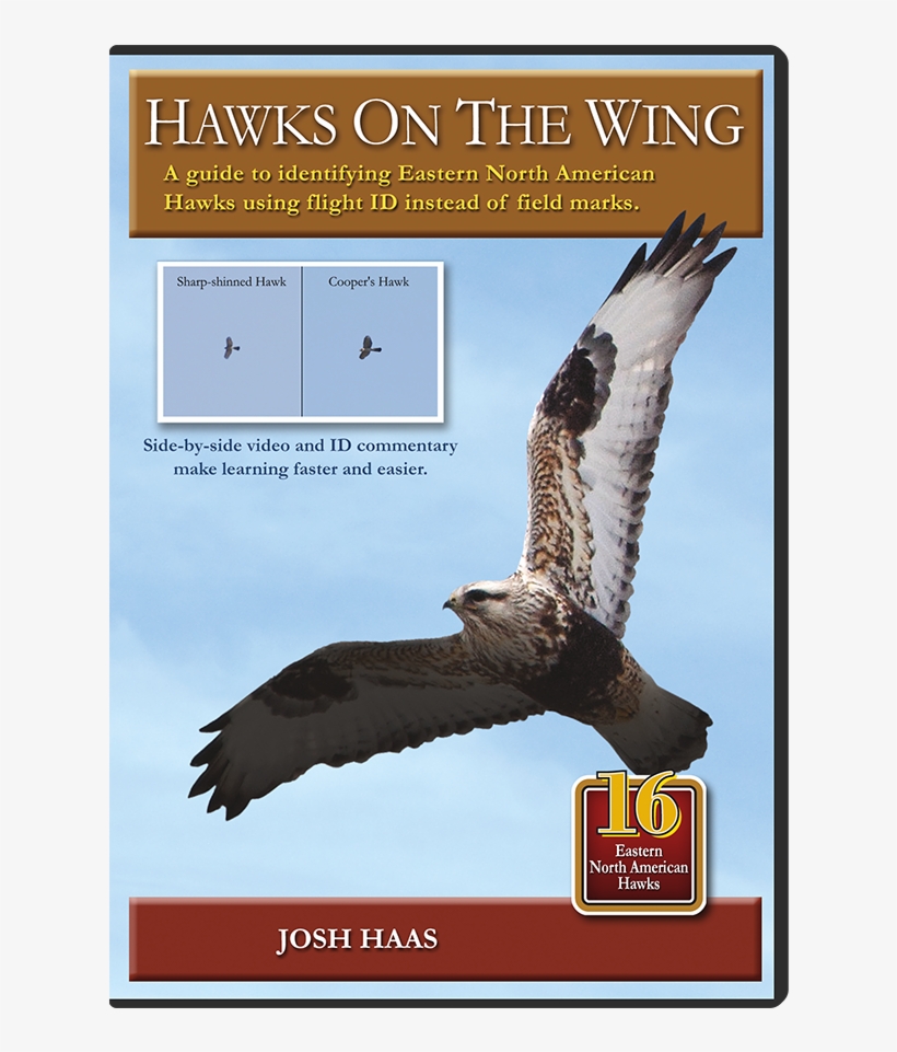 Hawks On The Wing, transparent png