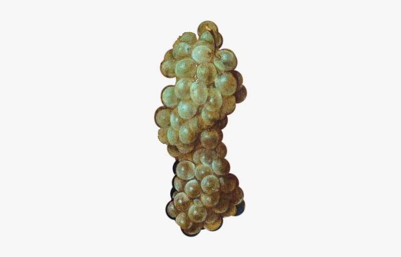 Grapes - Giuseppe Arcimboldo, transparent png