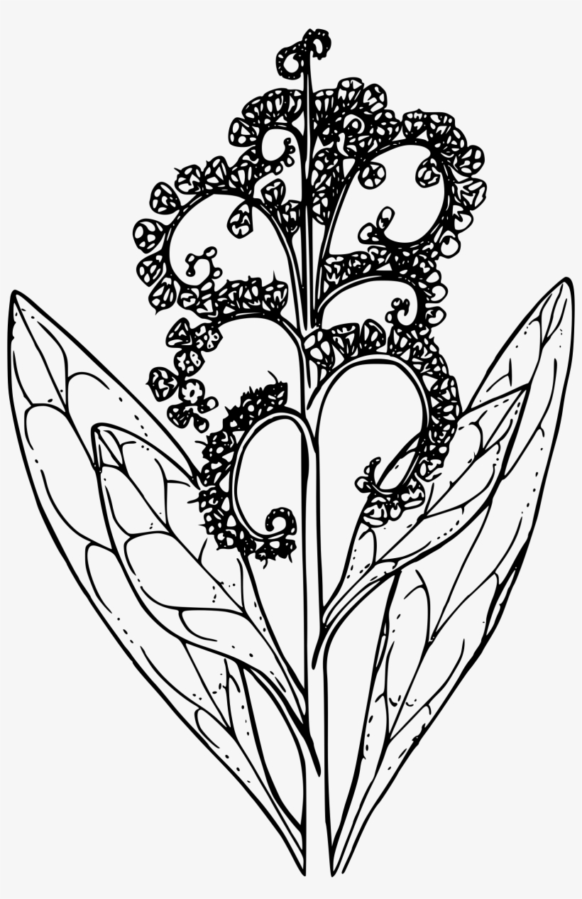 This Free Icons Png Design Of Common Hound's Tongue, transparent png