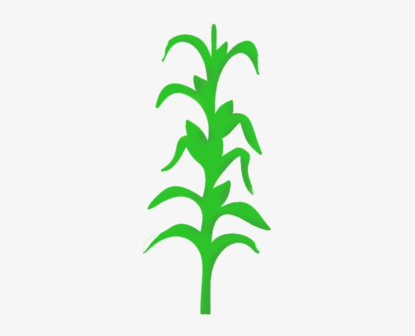 Index Of Files Uploads Group Cornstalkclipartpng - My Wonderful Walls Cornstalk Stencil, transparent png