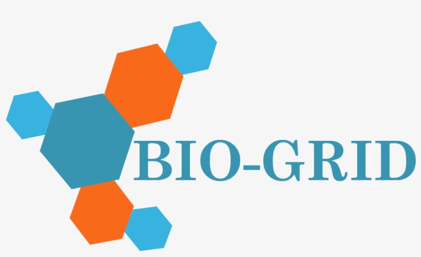 Bio Grid Cleanroom Ceiling System 01 - Ceiling, transparent png