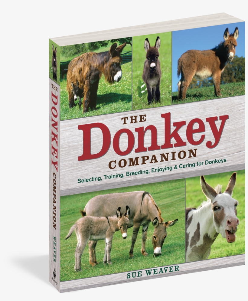 The Donkey Companion - Donkey Companion: Selecting, Training, Breeding, Enjoying, transparent png
