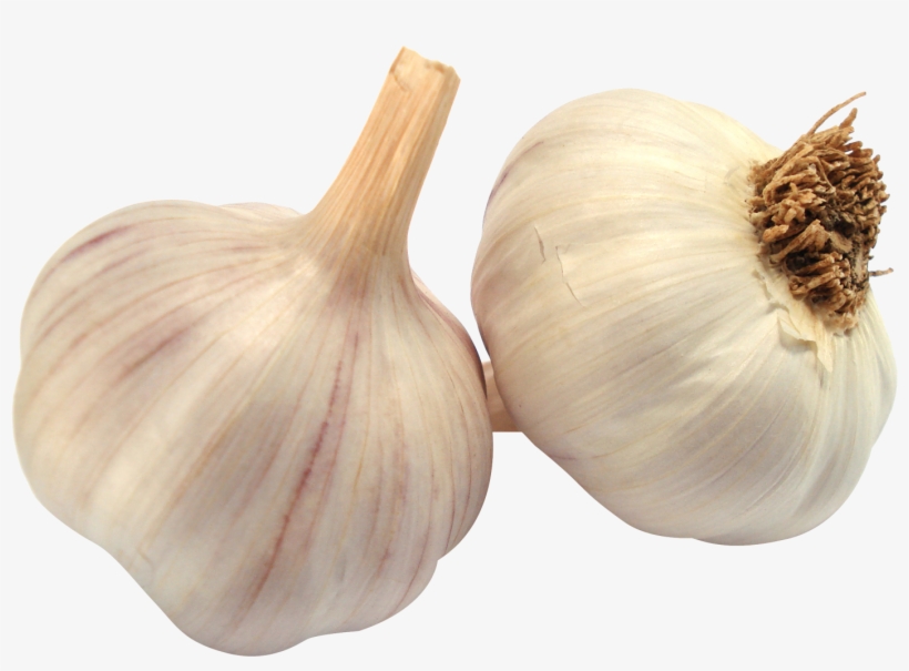 Garlic Png, transparent png