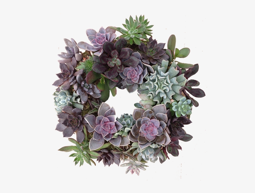 Succulent-wreath - Artificial Flower, transparent png