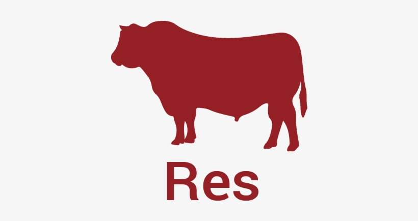 Carnes Castillo Productos - Cattle, transparent png