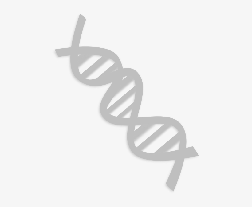 How To Set Use Dna Svg Vector, transparent png