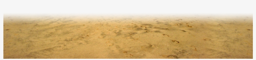 Acta Means Sea Beach - Png Beach, transparent png