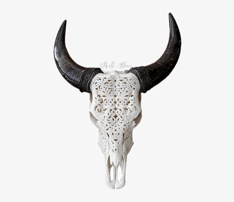 Carved Cow Skull // Xl Horns - Skull Of A Bull Black And White, transparent png