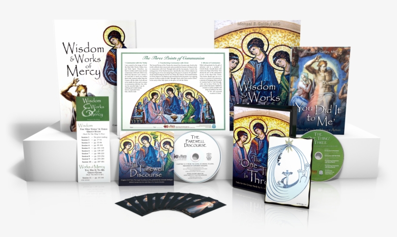 This Coordinator Kit Comes With Everything Needed To - You Did It To Me By Fr Michael E Gaitley, transparent png